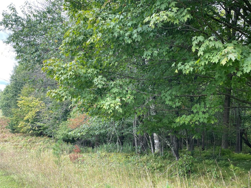 Lot 9 Hermosa Lane, Hayward, WI — photo 2