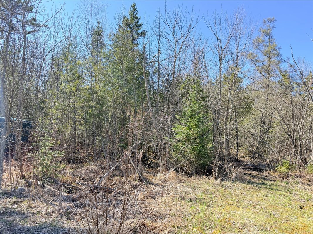 N1132 Cedar Point Lane, Weyerhaeuser WI 54895 - Residential house for sale - MLS #1600578 - image33