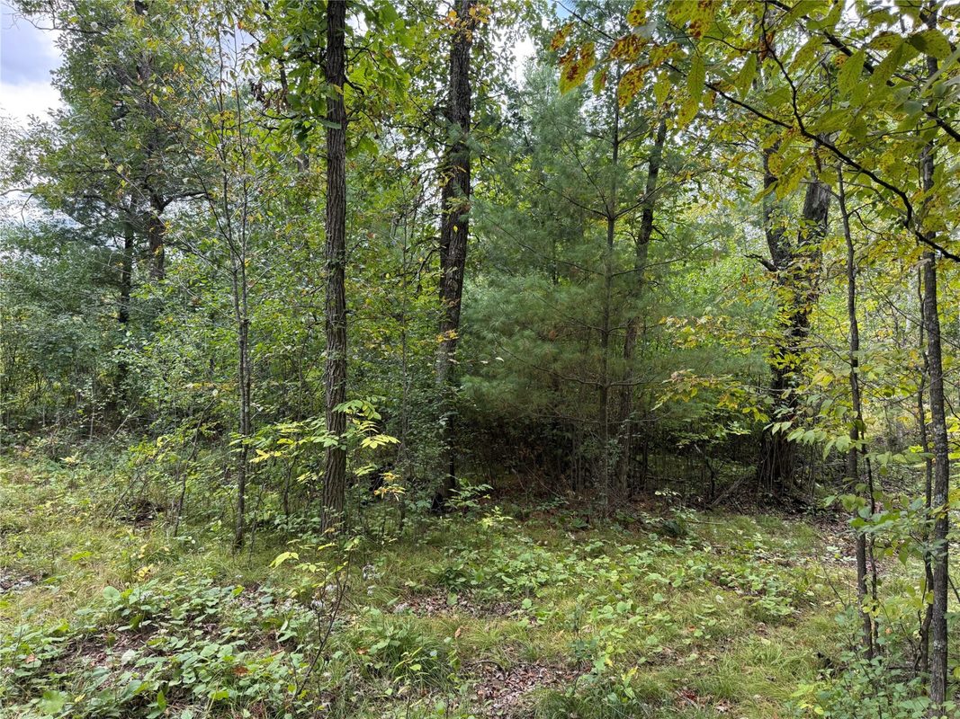 XXX 23 1/2 Street, Rice Lake WI 54868 - Land house for sale - MLS #1605312 - image12