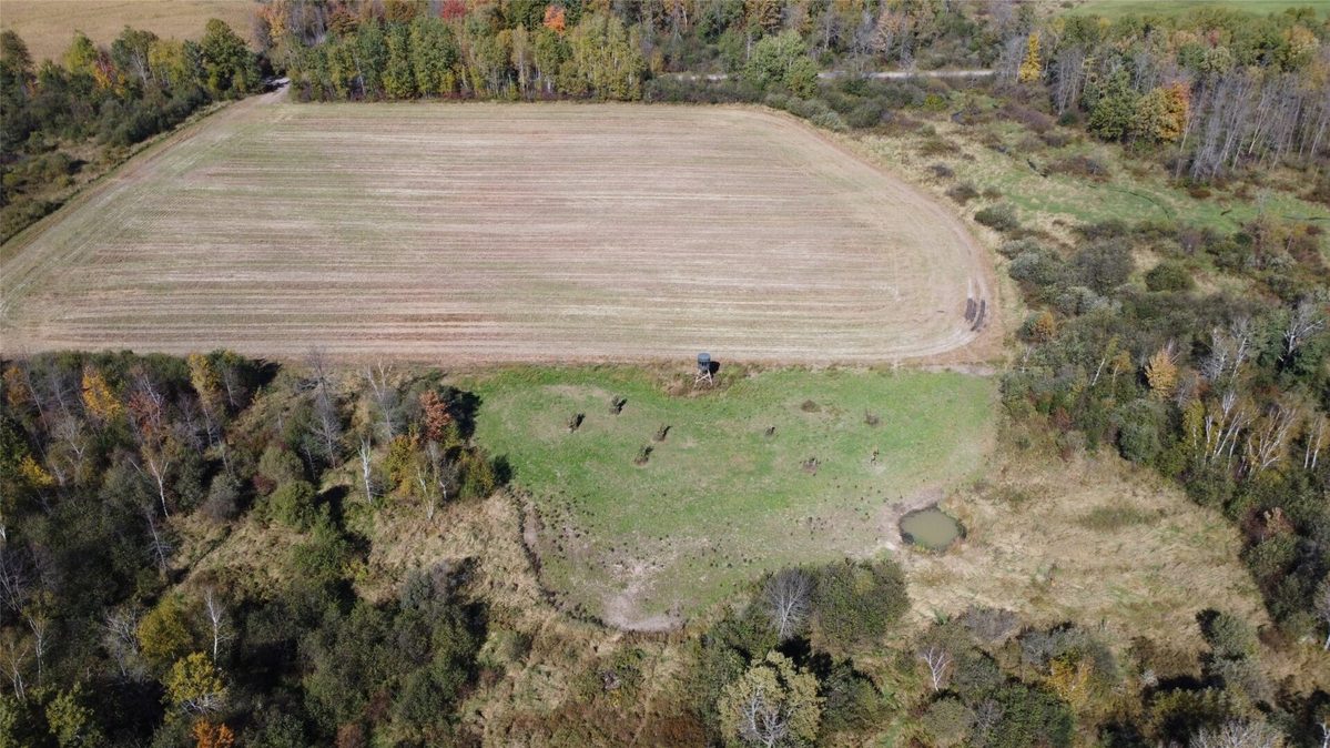 OOO RICHFIELD WOOD ROAD, Arpin WI 54410 - Land house for sale - MLS #1605936 - image3