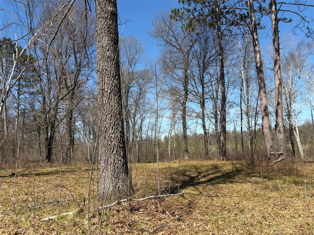TBD AA Mann Road, Spooner WI 54801 - Land house for sale - MLS #1602850 - image6