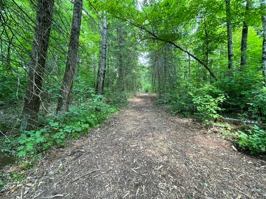 11715N FR 174  Hayward WI 54843