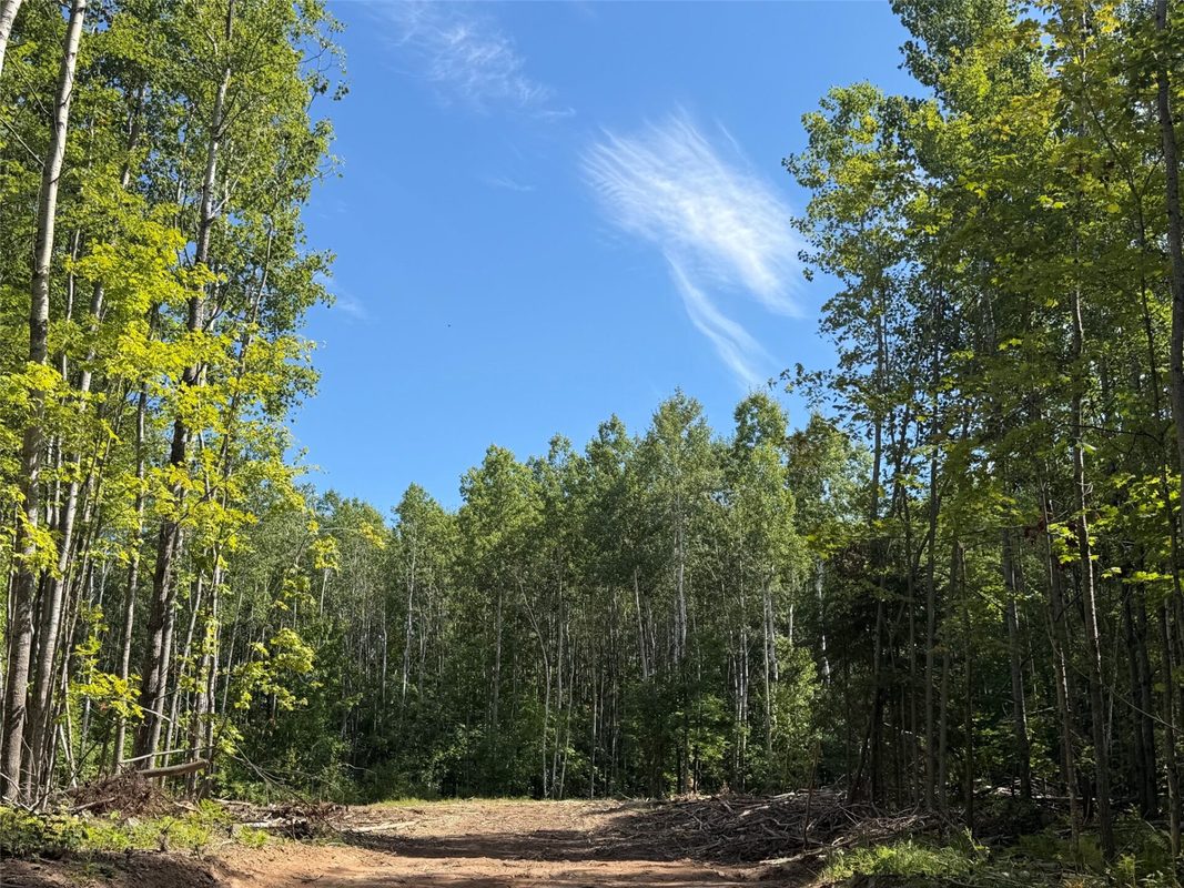 Parcel 4 County Road A, Solon Springs WI 54873 - Land house for sale - MLS #1604811 - image3