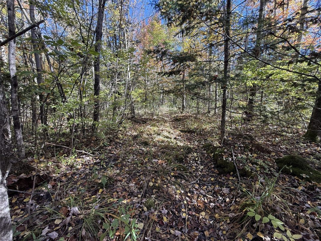 0 Moonshine Alley Lot 2, Catawba WI 54515 - Land house for sale - MLS #1606167 - image5