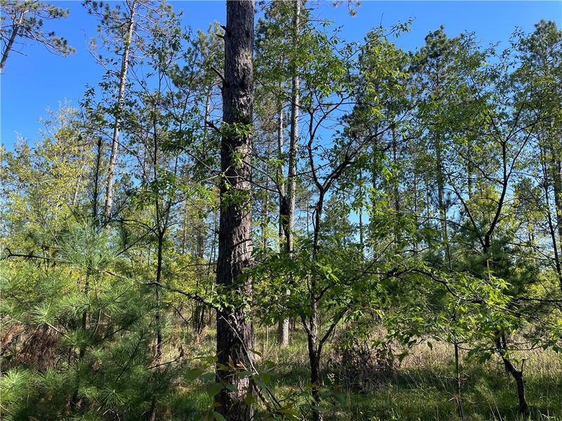 Lot 2 Murphy Boulevard