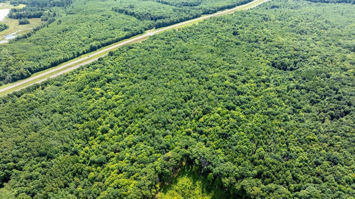 0 US Highway 53, Trego WI 54888 - Land house for sale - MLS #1604071 - image6
