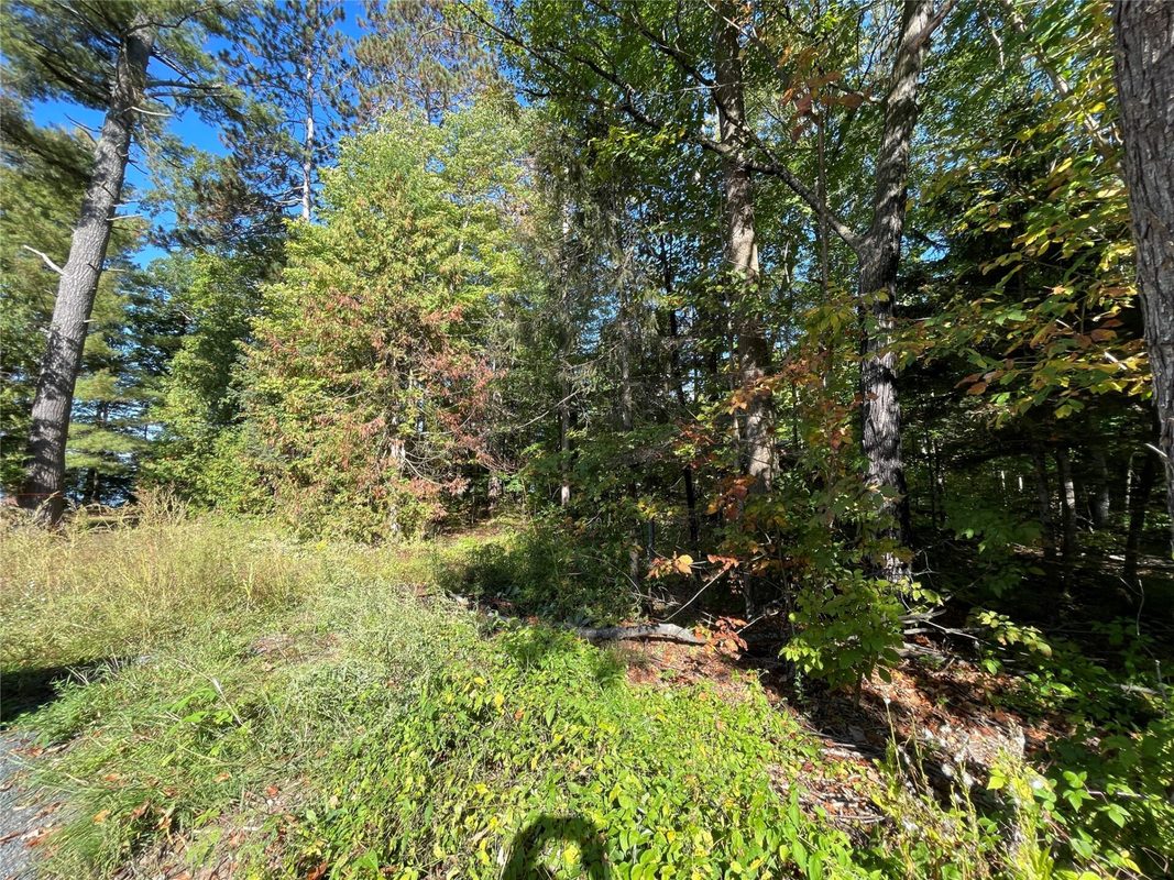 6073 Elsie Road, Stone Lake WI 54876 - Land house for sale - MLS #1602616 - image12