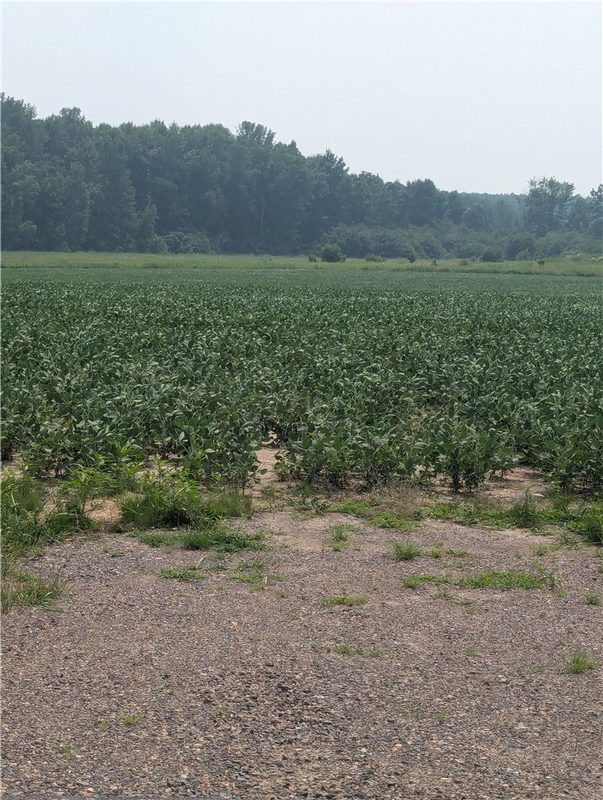Lot 4 County Highway W, Holcombe, WI — photo 5