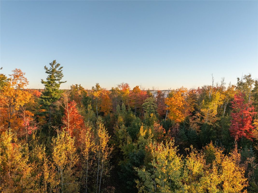 000 Winter Road, Elcho WI 54424 - Land house for sale - MLS #1605846 - image9