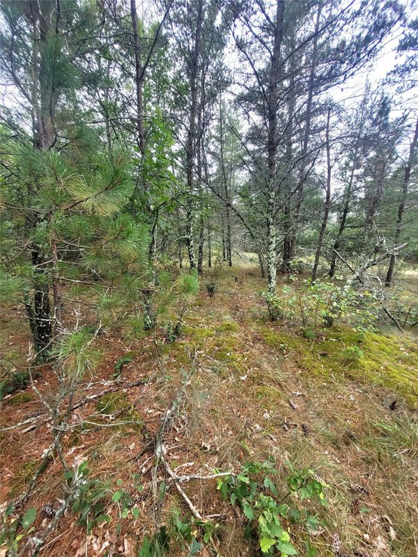 0 Blueberry Rd, Gordon WI 54838 - Land house for sale - MLS #1604990 - image33