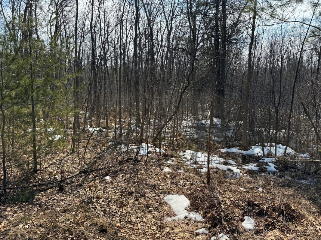 Land at OOO LAKE RD, Clintonville, WI 54929 — photo 32