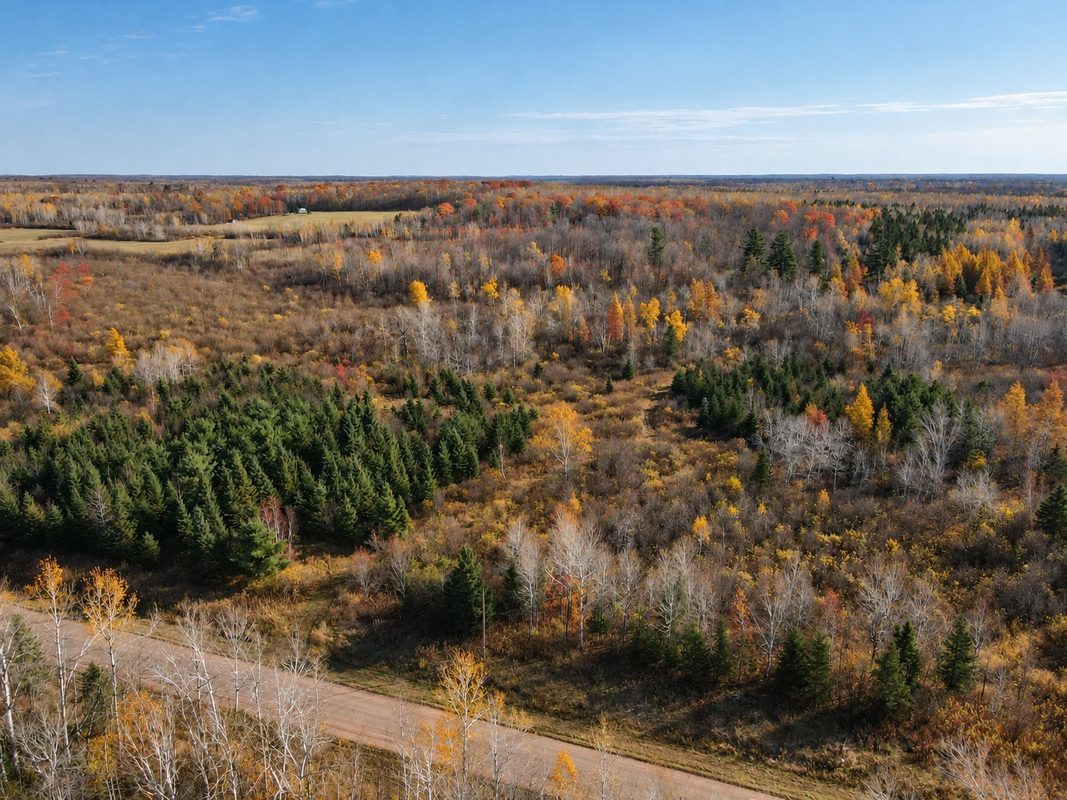 TBD Fedyn Road, Ladysmith WI 54848 - Land house for sale - MLS #1606244 - image14