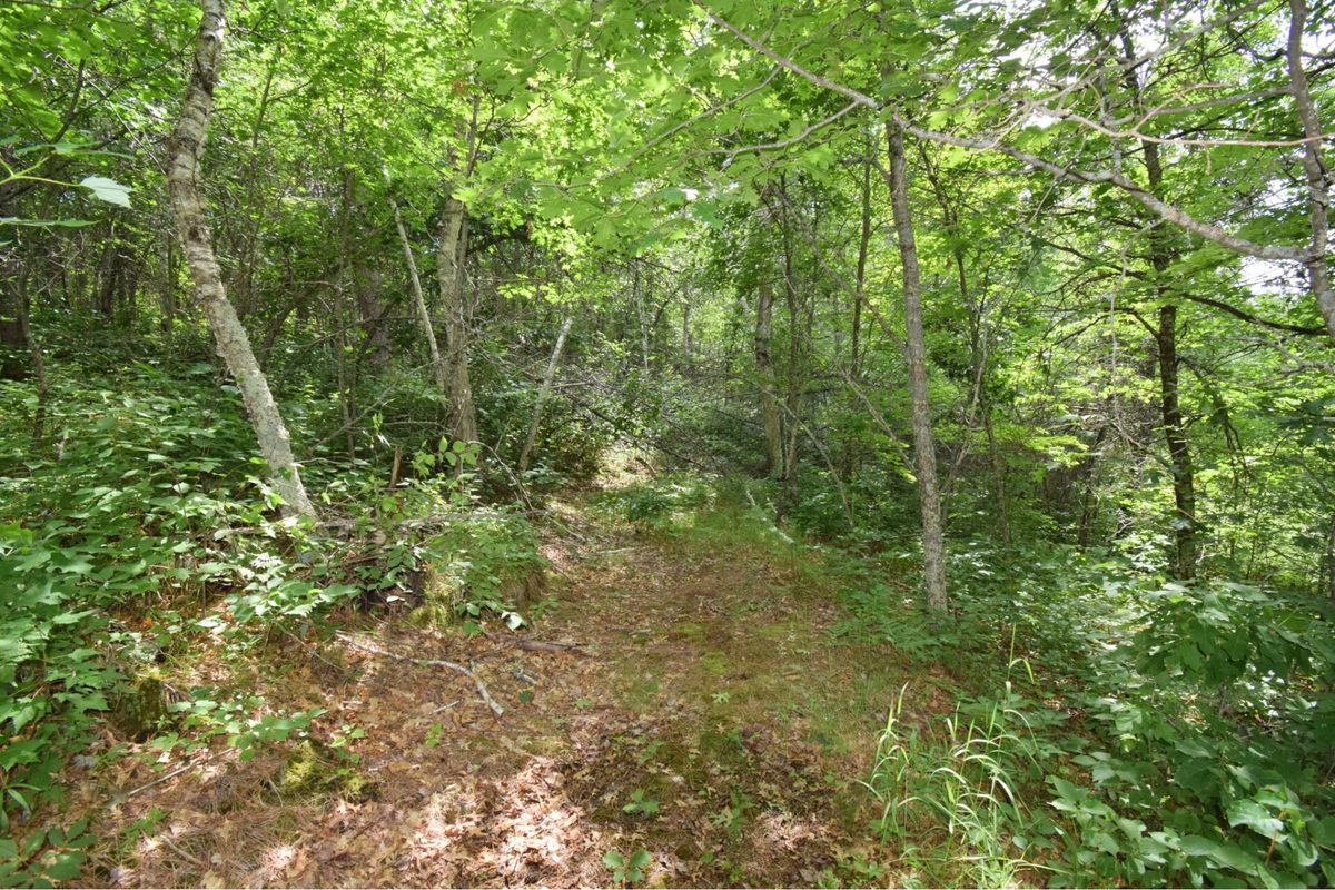 2749 Webb Lake Road, Webb Lake WI 54830 - Land house for sale - MLS #1603203 - image48