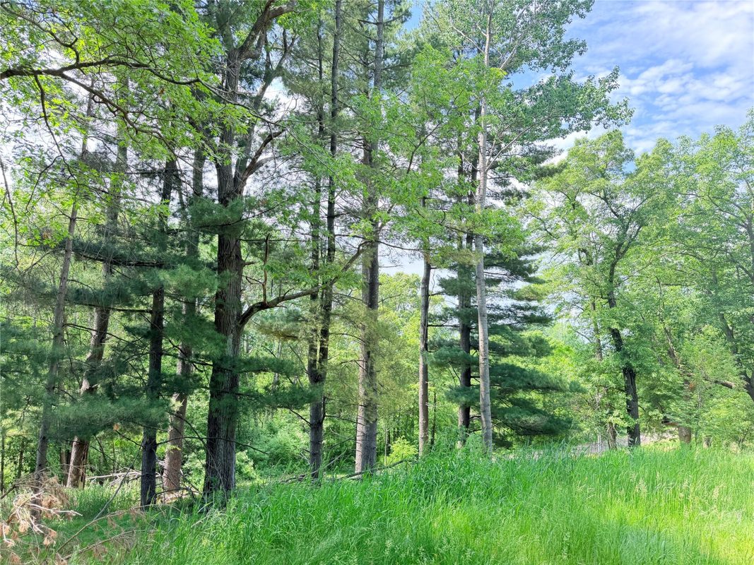 E3495 1210th Avenue, Boyceville WI 54725 - Residential house for sale - MLS #1601889 - image9