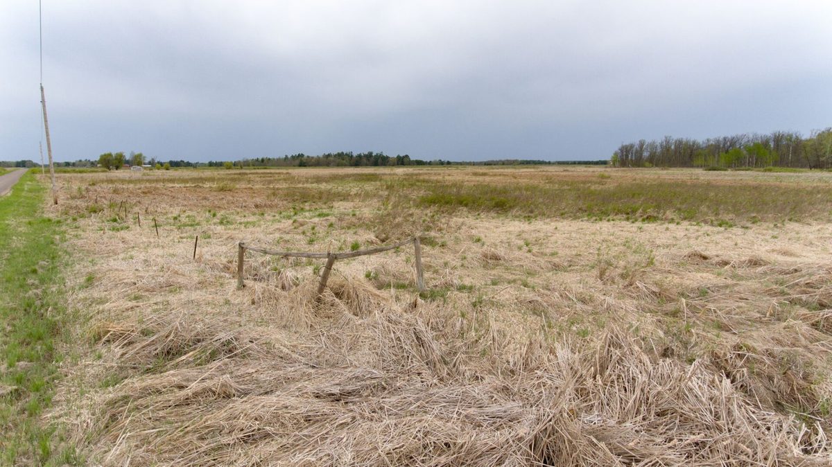 XXX Hegge Road, Wood River WI 54840 - Land house for sale - MLS #1601236 - image3