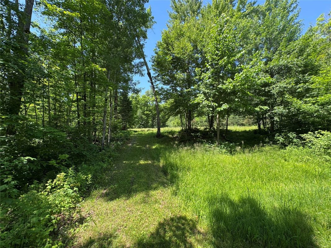 7154 Mc Dermott Road, Winter WI 54896 - Residential house for sale - MLS #1602865 - image41