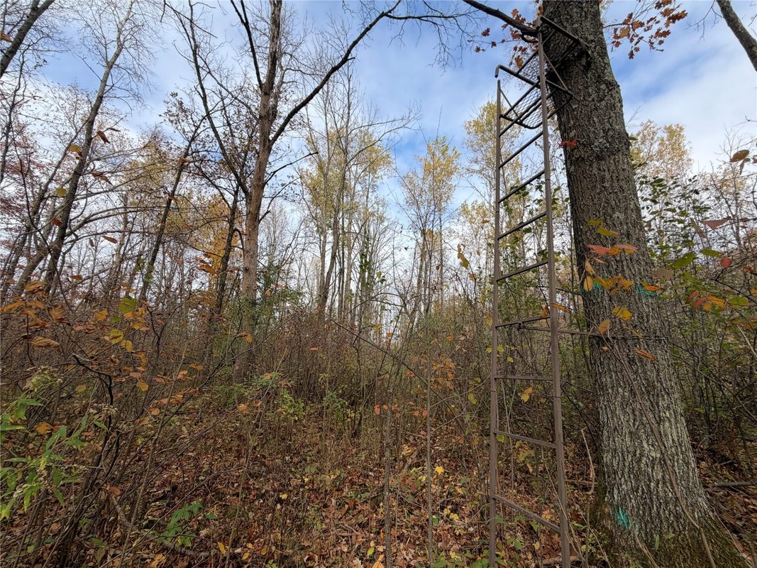 OOO RICHFIELD WOOD ROAD, Arpin WI 54410 - Land house for sale - MLS #1605936 - image32
