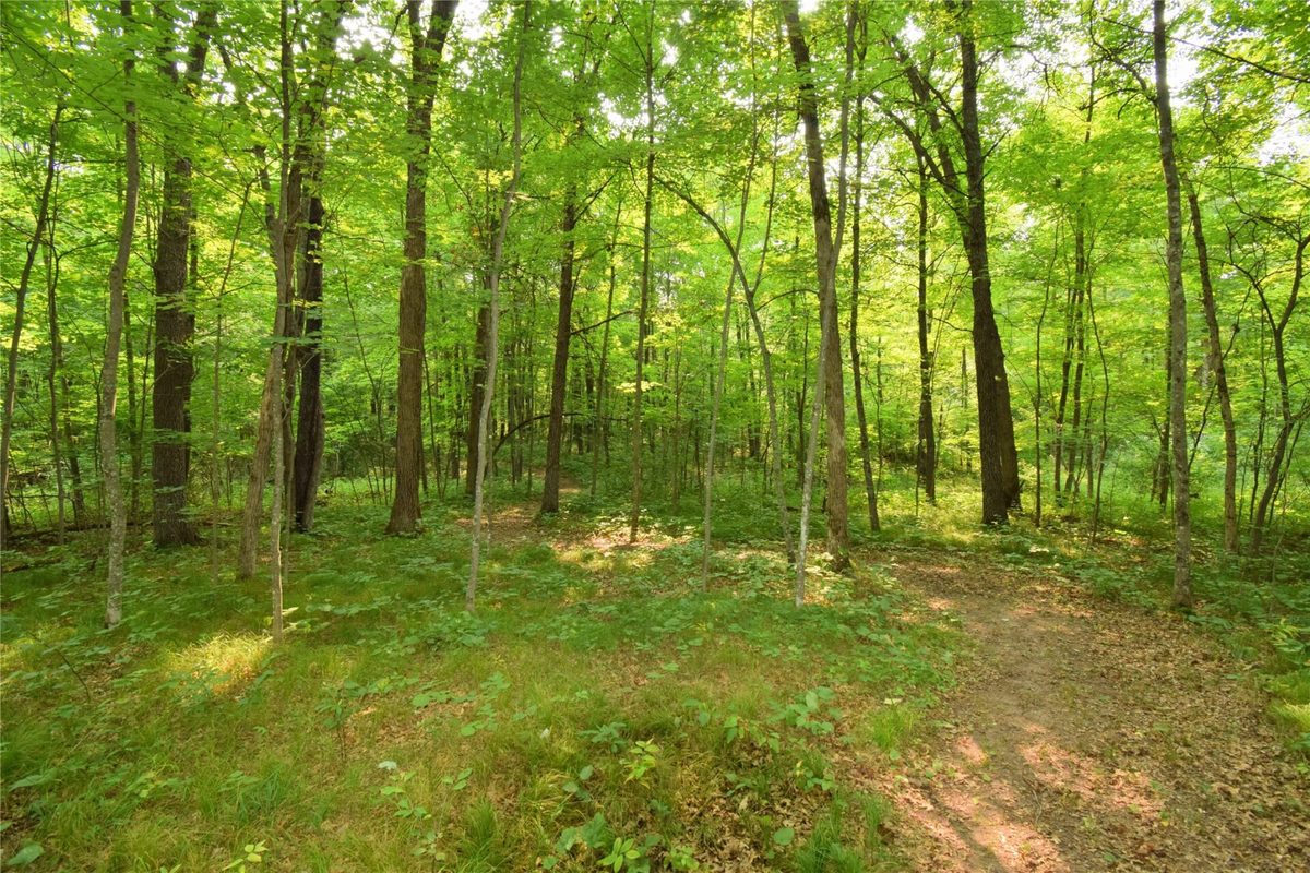 25707 Smith Road, Webster WI 54893 - Residential house for sale - MLS #1604112 - image50