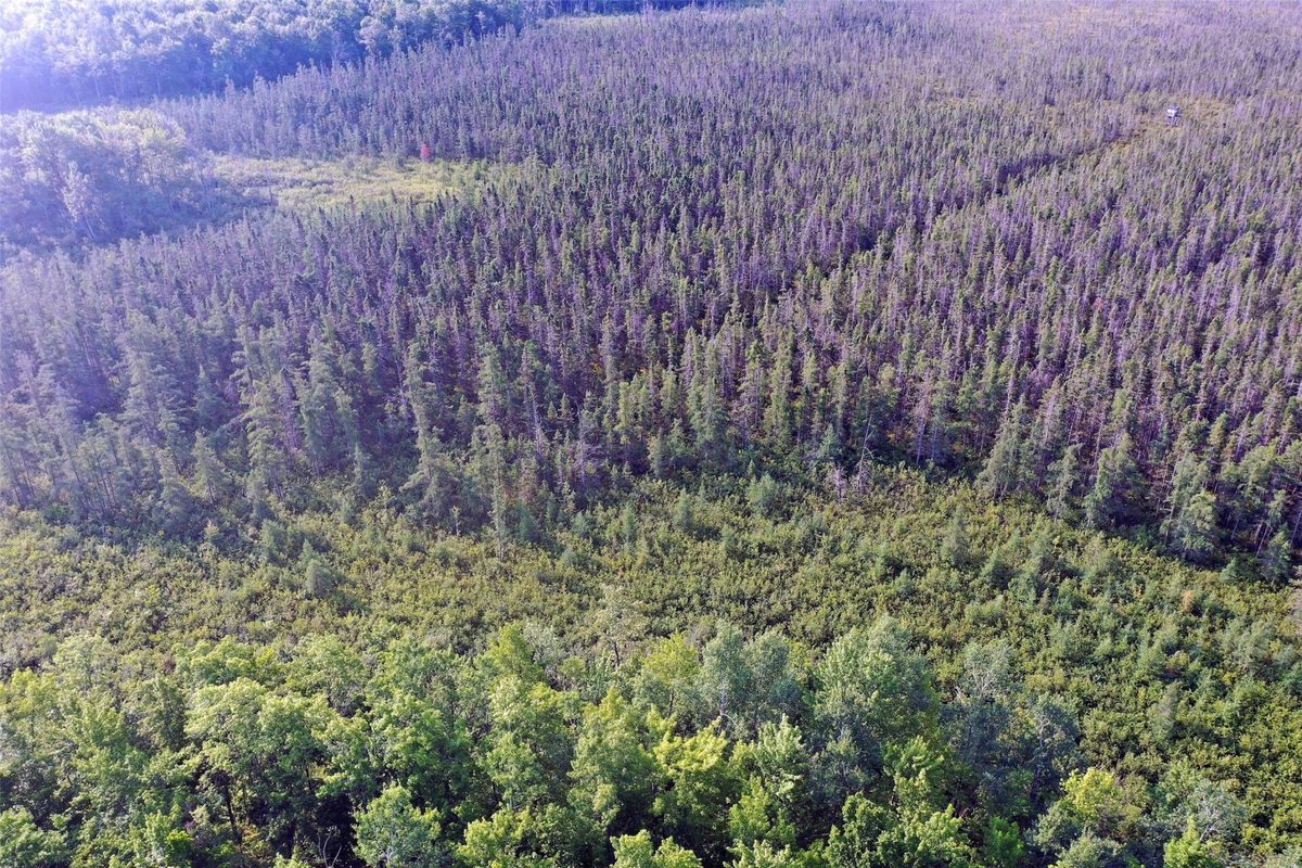 W9527 Mile Road, Ladysmith WI 54848 - Residential house for sale - MLS #1603730 - image40