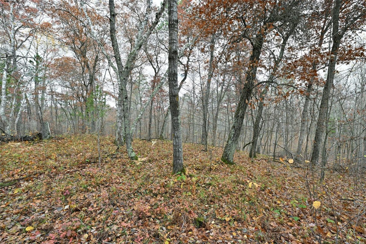 1894 S Lost Lake Road Danbury WI 54830 — photo 4