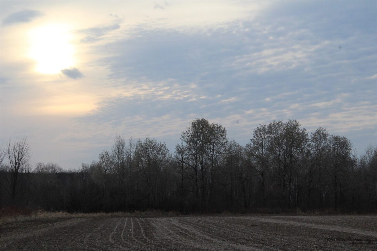 1563 N Helena Drive Holcombe WI 54731 — photo 2