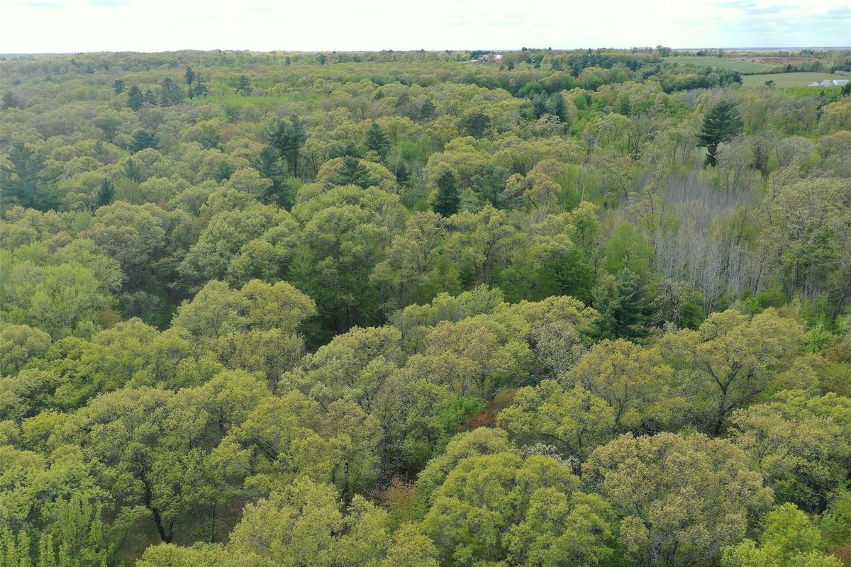 25275 Bruss Road, Webster WI 54893 - Land house for sale - MLS #1602158 - image28