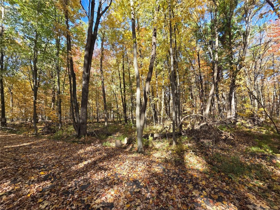 2541 County Hwy D, Boyd WI 54726 - Land house for sale - MLS #1605930 - image14