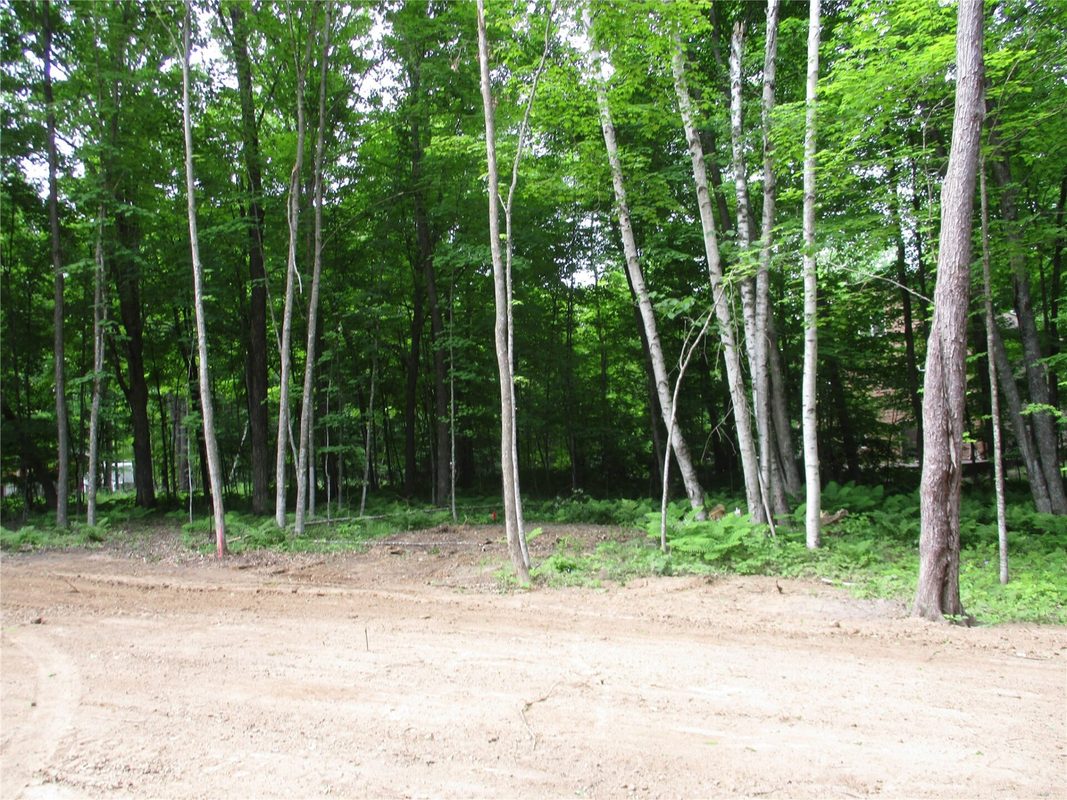 2863 Independence Way & 29 9/16 Avenue, Birchwood WI 54817 - Land house for sale - MLS #1601854 - image14