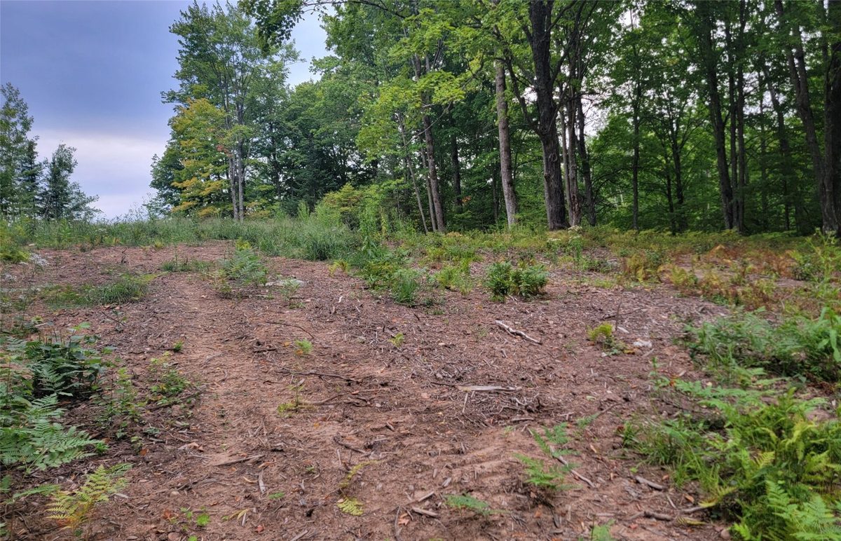5522N County Highway G, Winter WI 54896 - Land house for sale - MLS #1605127 - image6