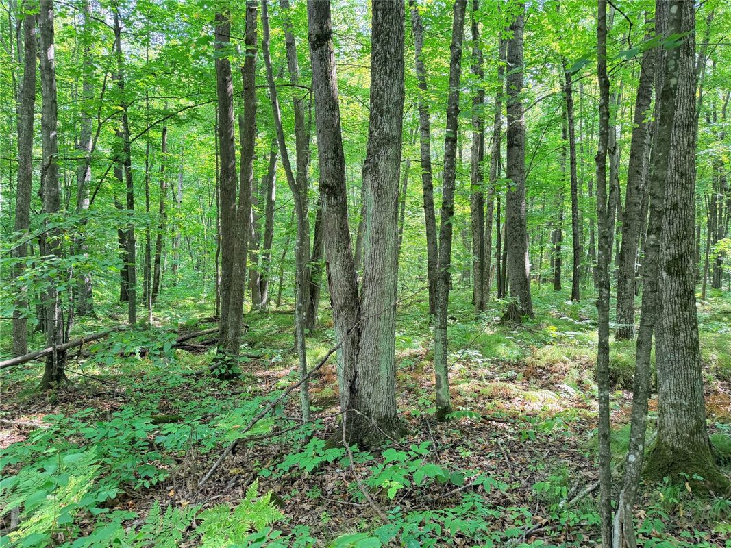 30 Acres County Highway X, Glen Flora WI 54526 - Land house for sale - MLS #1605967 - image16