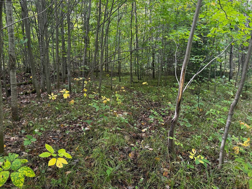000 Winter Road, Elcho WI 54424 - Land house for sale - MLS #1605846 - image37