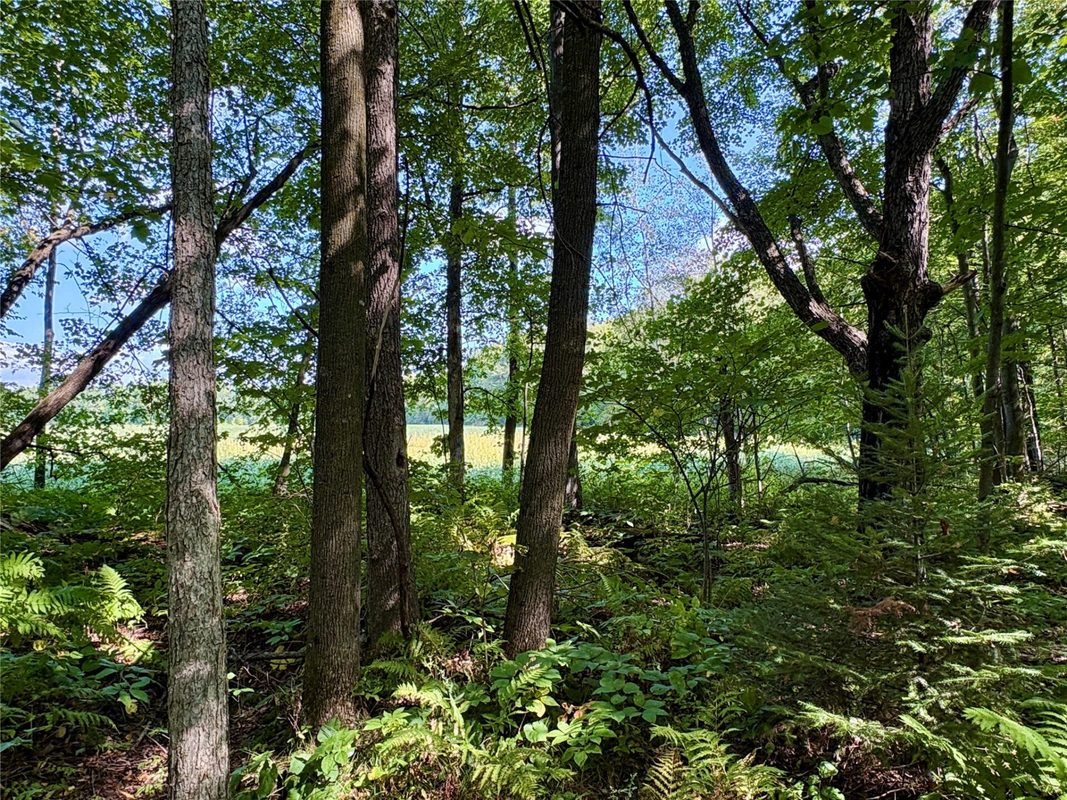W16860 Cty Rd D, Sheldon WI 54766 - Land house for sale - MLS #1604631 - image34