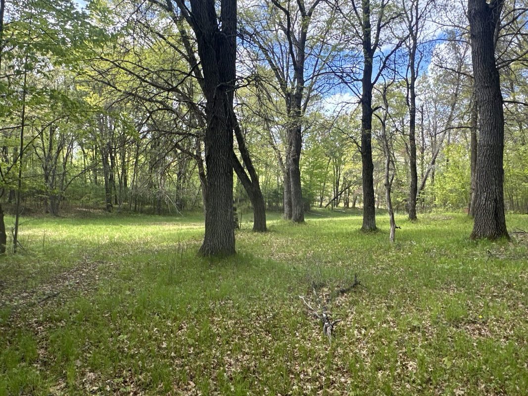 25275 Bruss Road, Webster WI 54893 - Land house for sale - MLS #1602158 - image6