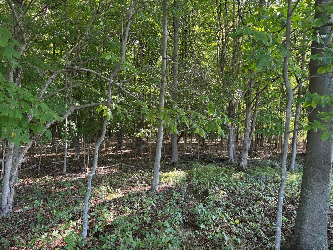 OOO County Road L, Merrill WI 54452 - Land house for sale - MLS #1605059 - image5