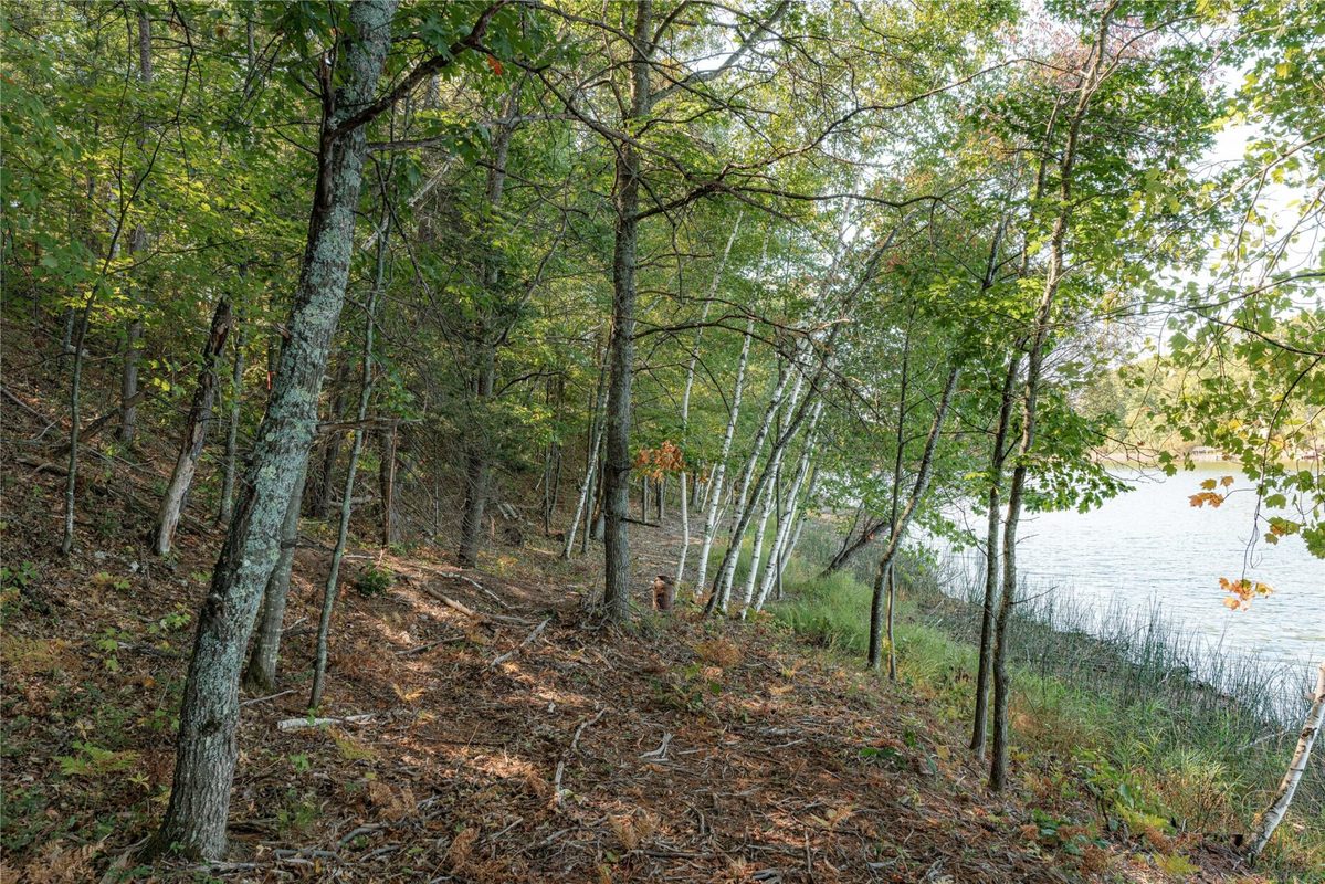 0 E Long Lake Road, Iron River WI 54856 - Land house for sale - MLS #1605717 - image5