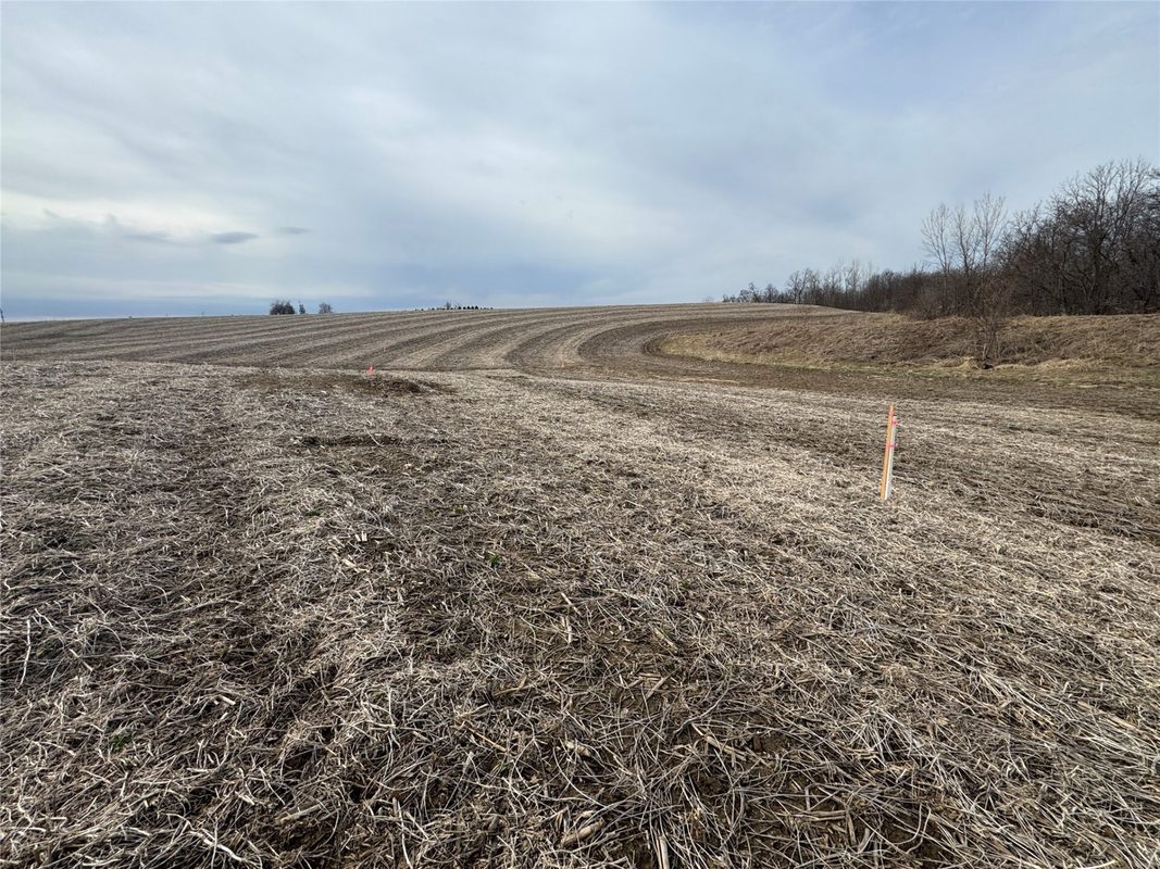 TBD County Road JJ Stockholm WI 54769 — photo 14