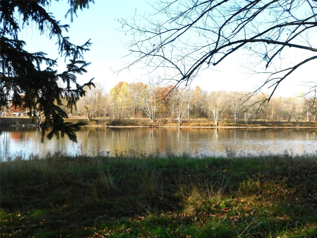 N341 Ranch Road, Holcombe WI 54745 - Residential house for sale - MLS #1606134 - image19
