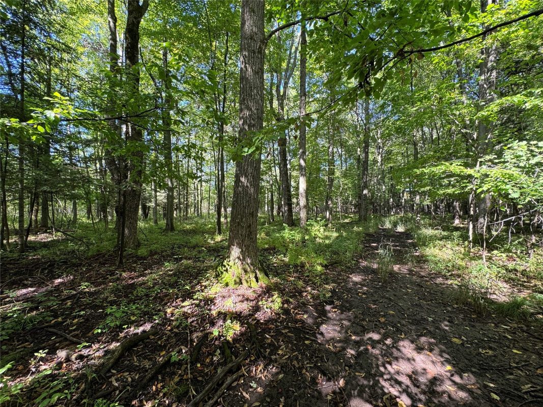 233482 Corinth Road, Athens WI 54411 - Residential house for sale - MLS #1604911 - image27