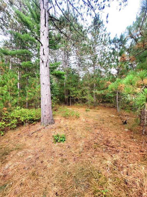 0 Blueberry Rd, Gordon WI 54838 - Land house for sale - MLS #1604990 - image21