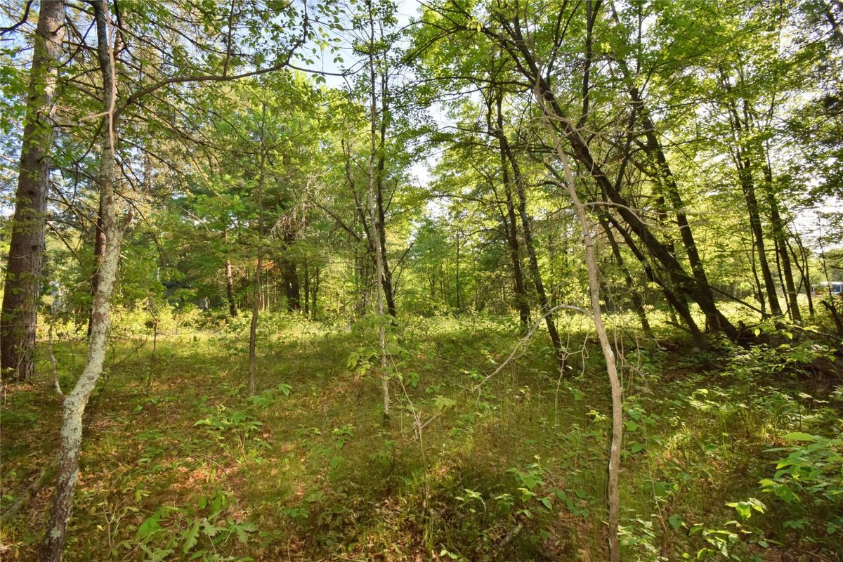 Lot 31 Setting Sun Trail Way, Danbury WI 54830 - Land house for sale - MLS #1601782 - image18