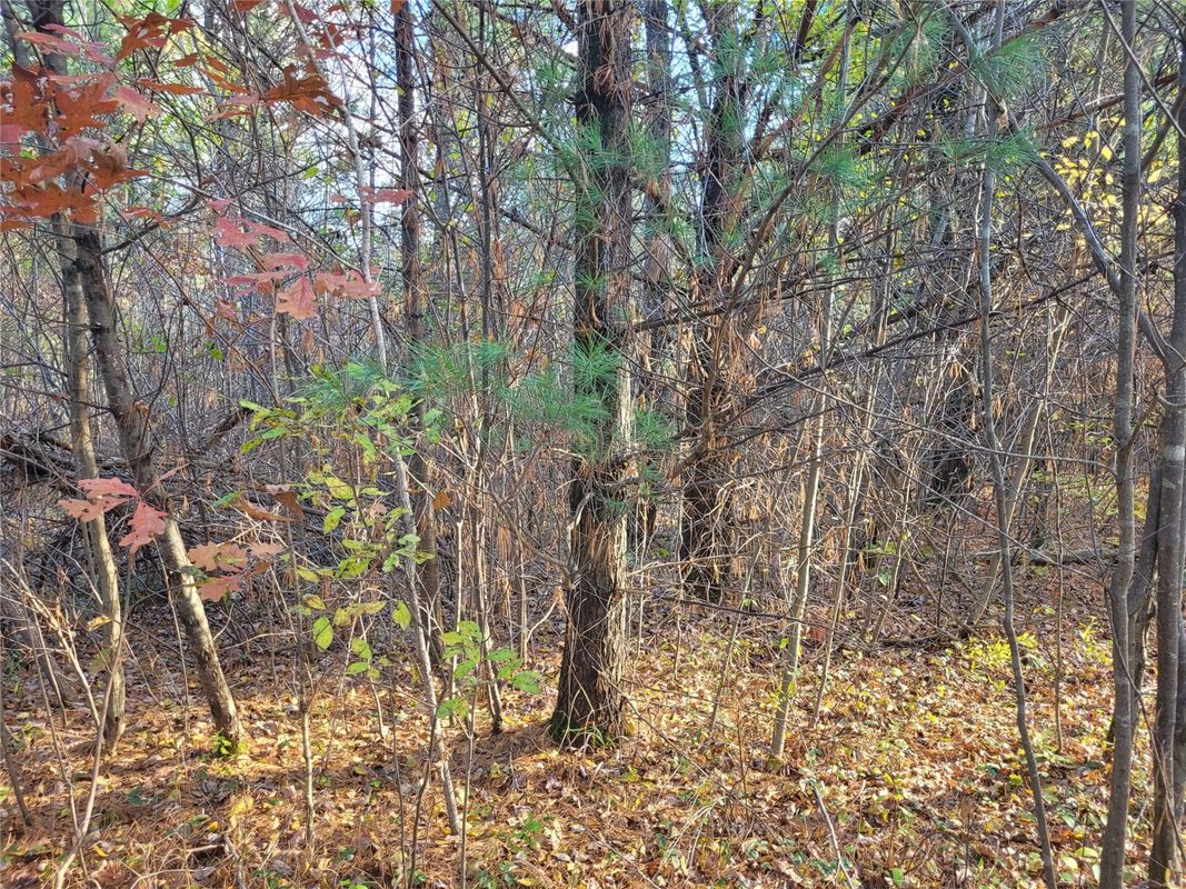 N10835 Kovar Road, Merrillan WI 54741 - Land house for sale - MLS #1606219 - image16