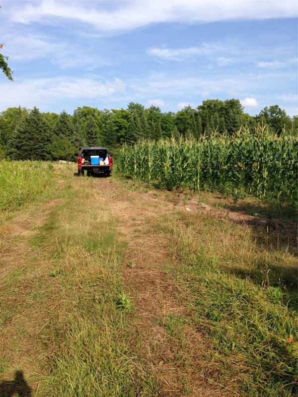 120 +/- Acres Off County Highway N, Glidden WI 54527 - Land house for sale - MLS #1601094 - image27