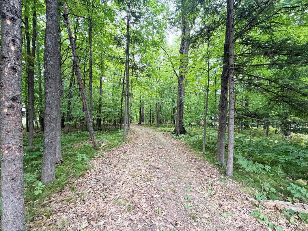 1101 5th Street, Ladysmith WI 54848 - Land house for sale - MLS #1598875 - image6