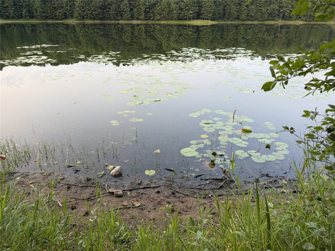 296 26 1/8 Avenue, Cumberland WI 54829 - Land house for sale - MLS #1604064 - image24