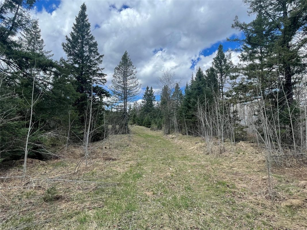 81620 Pociask Road, Butternut WI 54514 - Land house for sale - MLS #1601089 - image5
