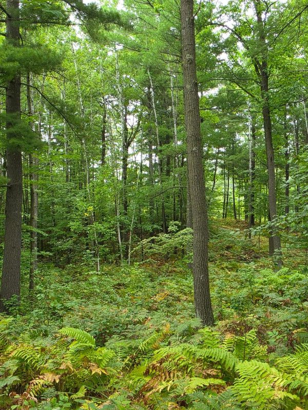 00 10 1/2-28 1/2, Barronett WI 54813 - Land house for sale - MLS #1604830 - image29