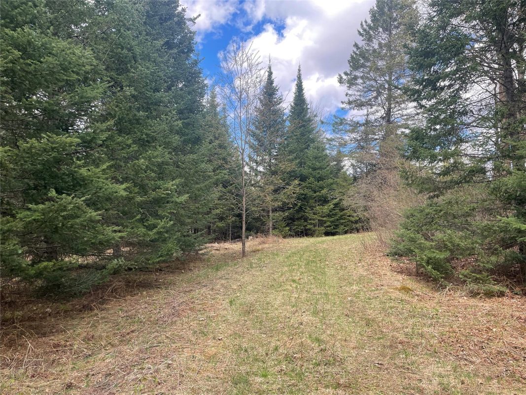81620 Pociask Road, Butternut WI 54514 - Land house for sale - MLS #1601089 - image6
