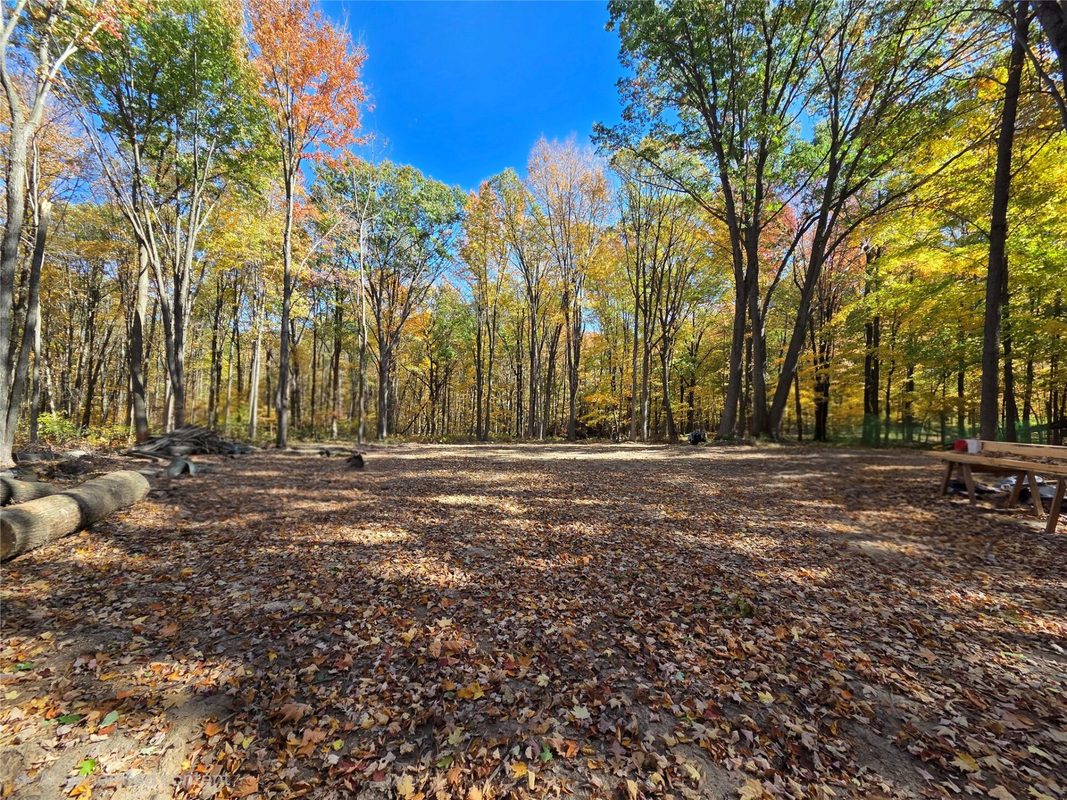 2541 County Hwy D, Boyd WI 54726 - Land house for sale - MLS #1605930 - image7