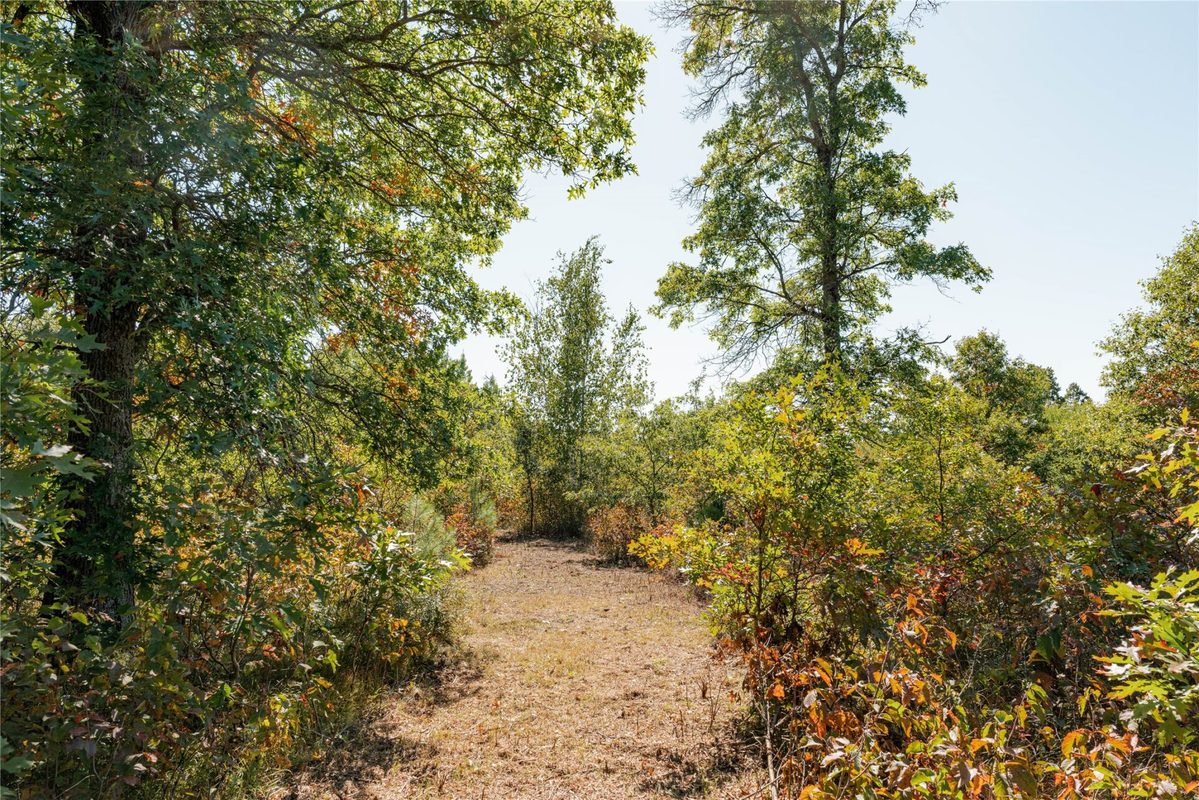 0 County Road T, Minong WI 54859 - Land house for sale - MLS #1605534 - image11