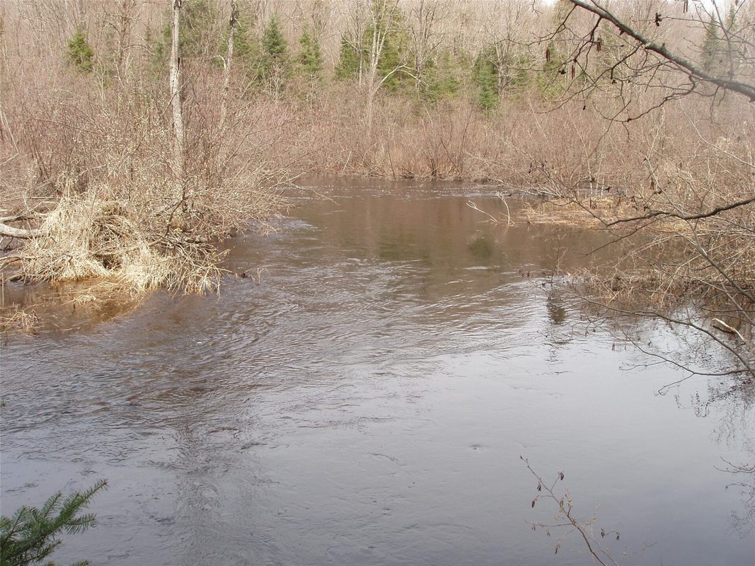 W9798 Fleming Road Park Falls WI 54552 — photo 37